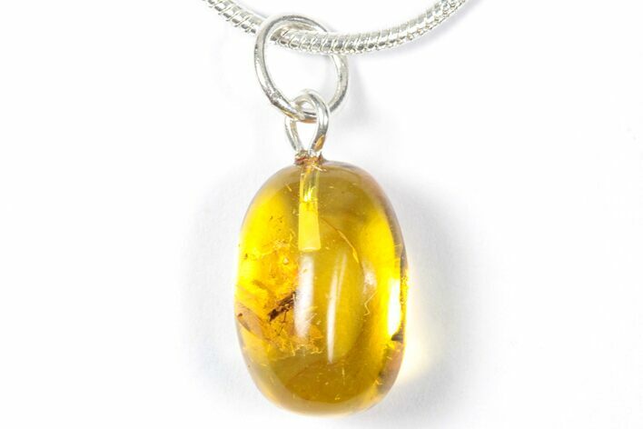 Polished Baltic Amber Pendant (Necklace) - Contains Fly! #357946